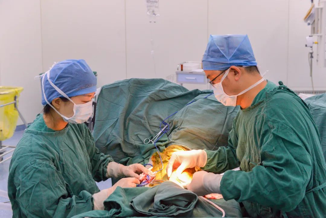 新突破！我院成功开展首例人造血管内瘘术